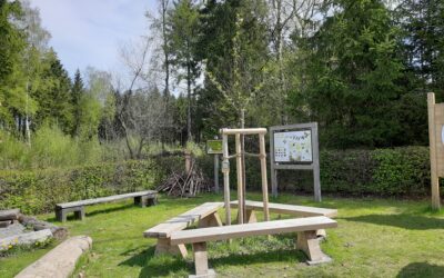 Frühling 2025 – Die ersten Blüten