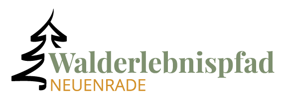 Walderlebnispfad Neuenrade im Sauerland - Hönnetal